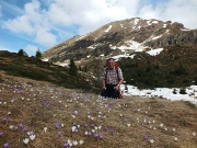 22 Tra i crocus del Monte Campo